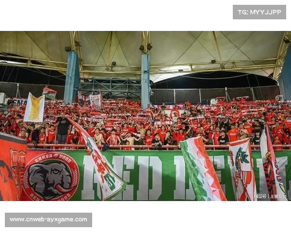 河南队为足协杯决赛磨合阵容,末轮进行轮换